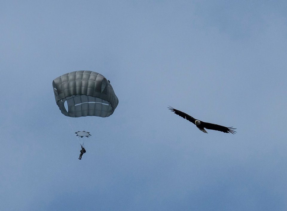 Airborne soldier and bald eagle